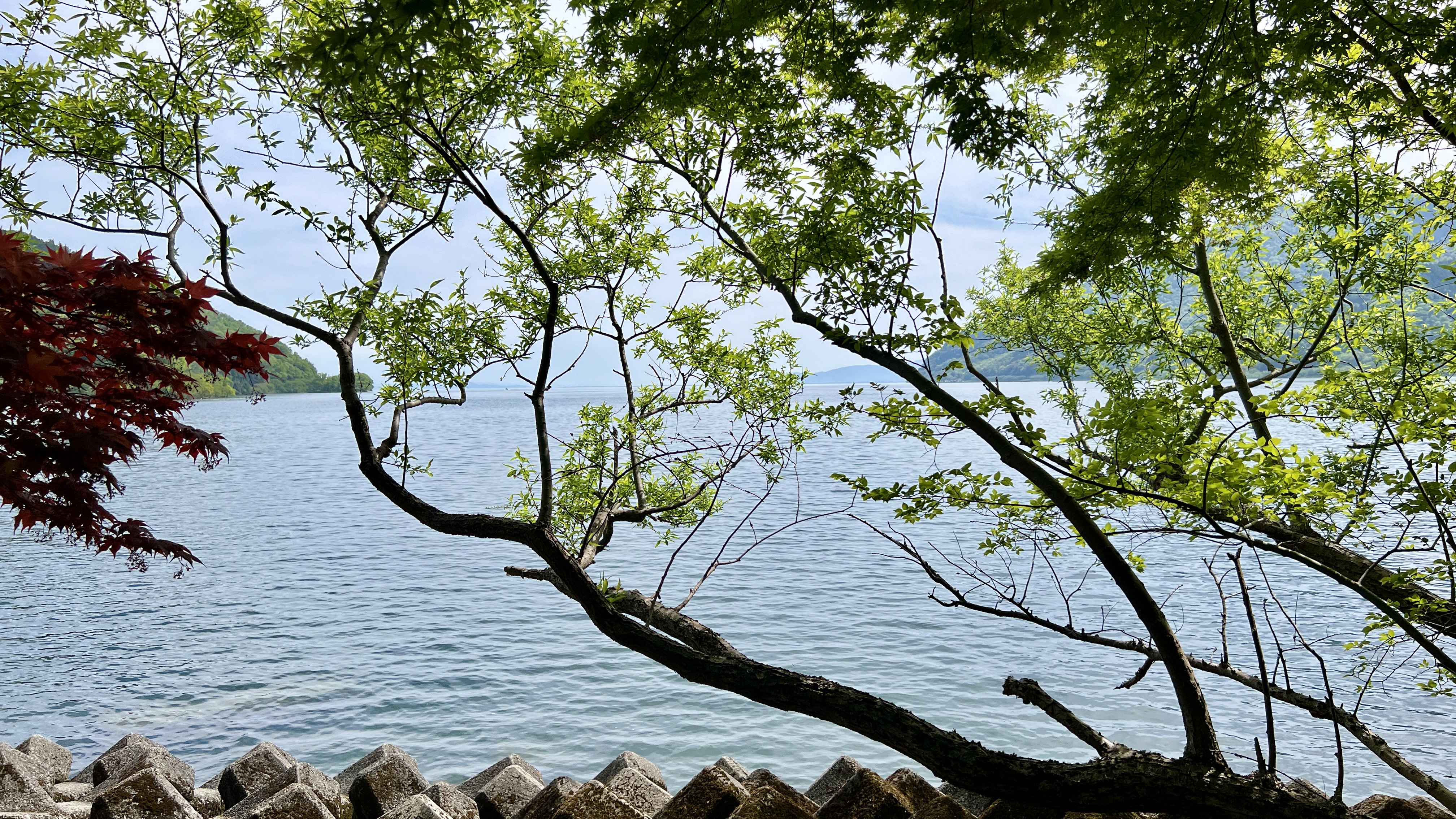 Lake Biwa