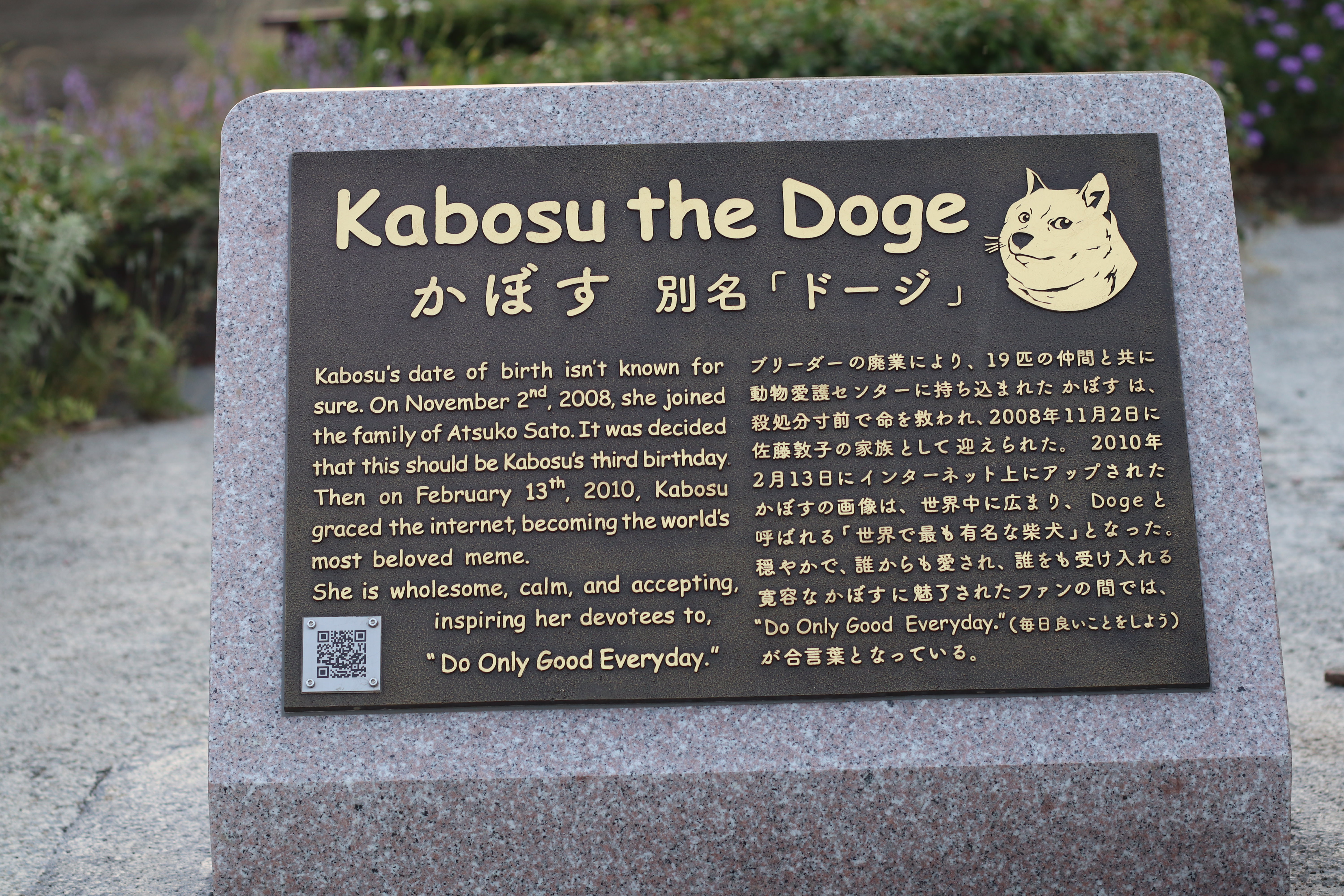 Doge Plaque