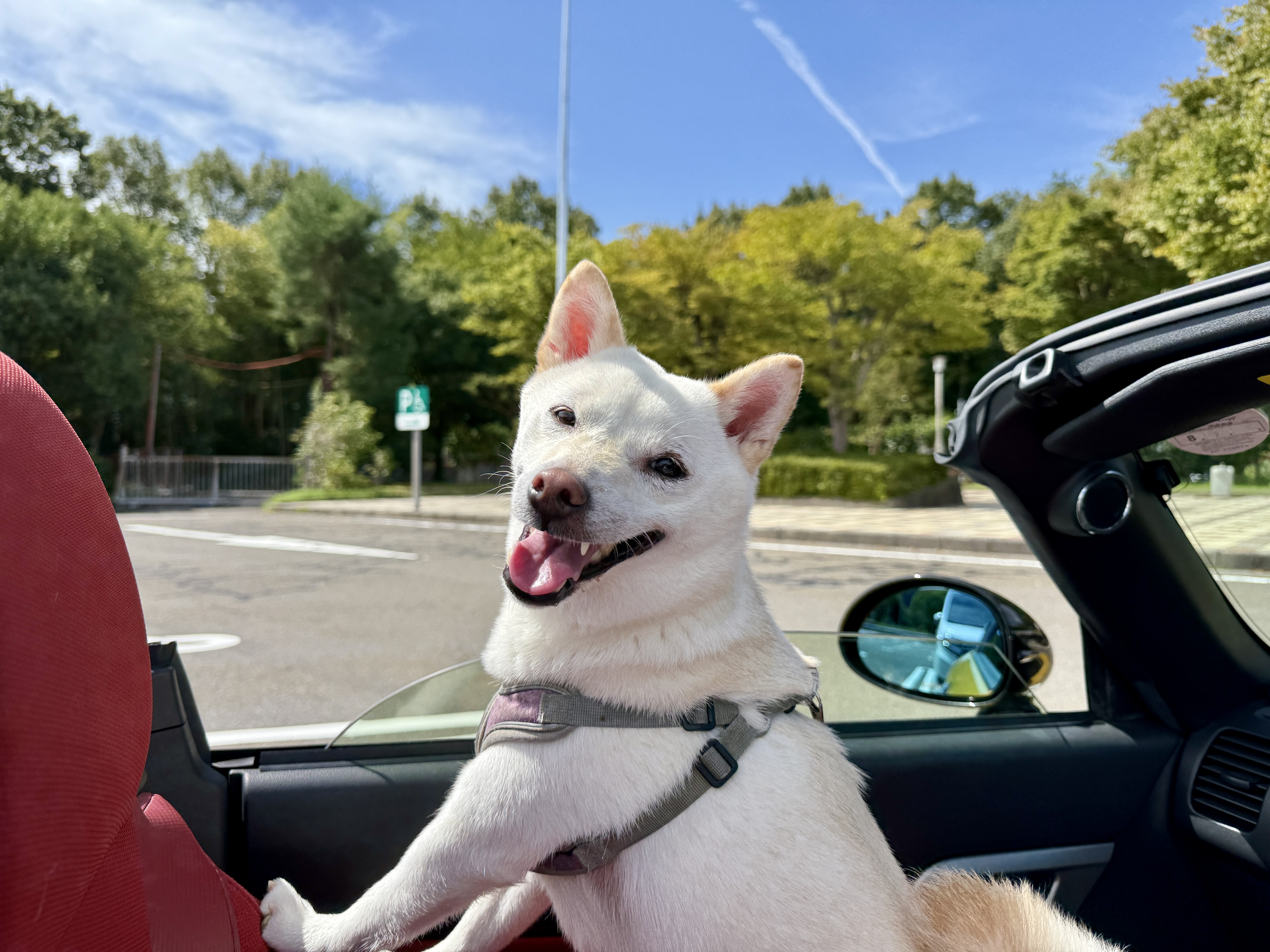 Ayumi's Wonderful Smile